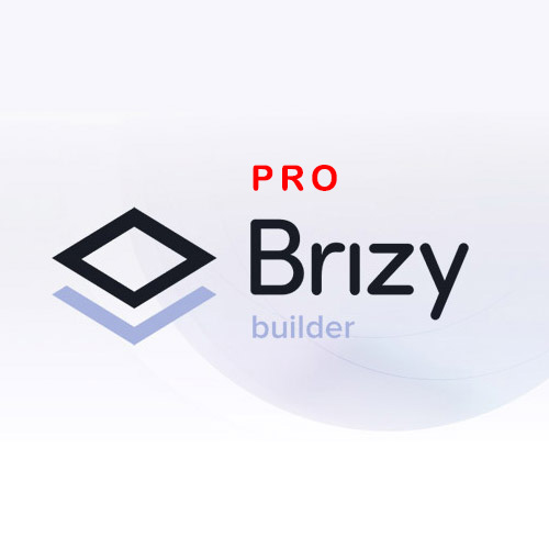 Brizy-Pro