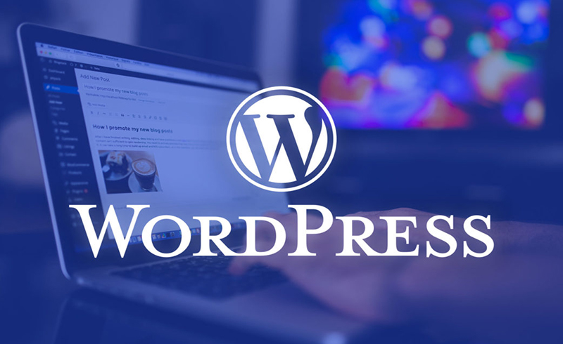 8 cách tăng tốc độ website của bạn siêu dễ, siêu nhanh cho WordPress