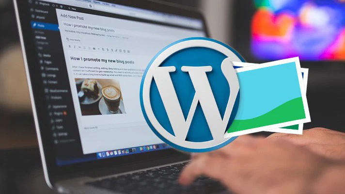 Cách hiển thị dữ liệu meta bài đăng trên blog WordPress