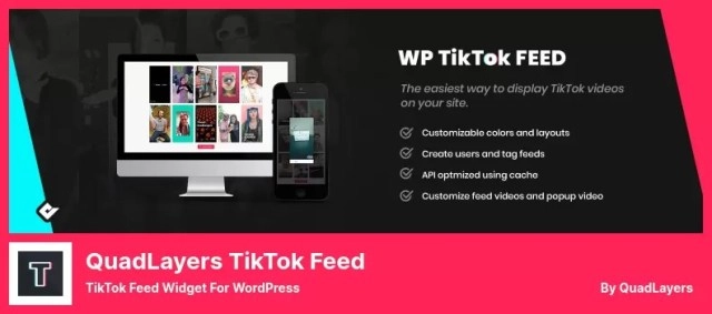 TikTok Feed by QuadLayers